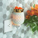 Socialight Candles - Pineapple Pluggable Wax Warmer
