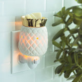 Socialight Candles - Pineapple Pluggable Wax Warmer